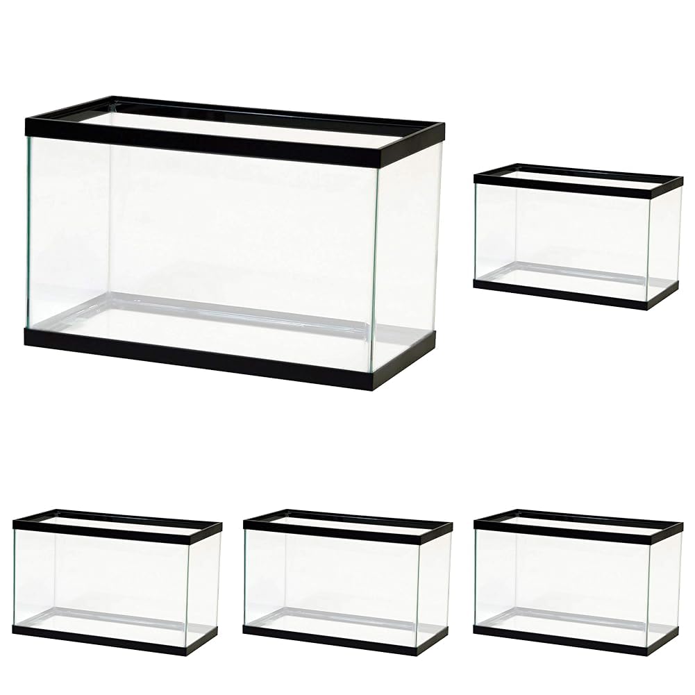 Aqueon Standard Glass 10 Gallon Rectangular Tank for Aquariums & Terrariums (Pack of 5)