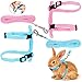 Gloryit 2 Stück Verstellbare Kaninchengeschirr Kaninchen Geschirr Hasengeschirr mit Leine Haustier Zugseil Geeignet für Kätzchen, Hunde, Kaninchen, Meerschweinchen und kleine Haustiere (Blau Pink)