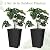 Briwooody Set of 2 16 Inch Large Taper Planters Outdoor Indoor Tall Resin Flower Pots with Drainage Holes Modern for Front Porch Patio Backyard Plants(Black)