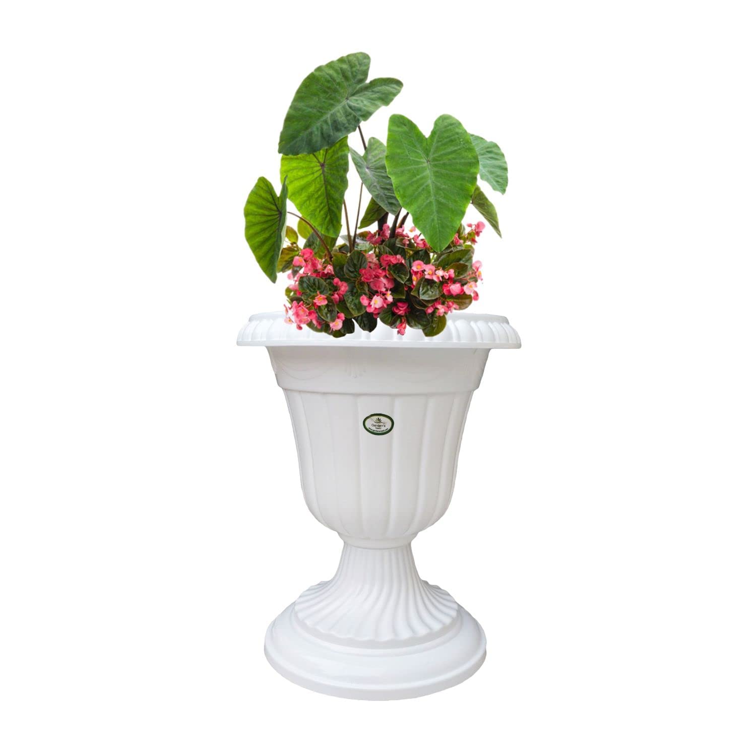 Amazon Brand - Umi Plastic Decorative Round Shape Design Indoor & Outdoor White Cool Finishing Big Tulip Flower Pot for Home/Office/Table/Gift Purpose - 30 Cms (B0C6F8KT9Q) Amazon Price History, Amazon Price Tracker