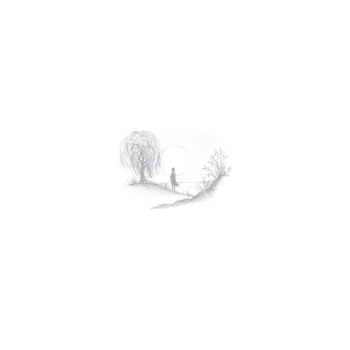 Birds Of Passage
