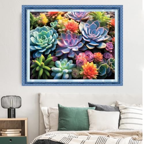 Image of Dimxvean Stamped Cross Stitch Kits,Cross Stitch Kits for Adults Beginners,Embroidery Kits Full Range of Cross Stitch Stamped Kits Needlepoint Kits Cross Stitch Patterns-Succulent Plants 16x20 inch