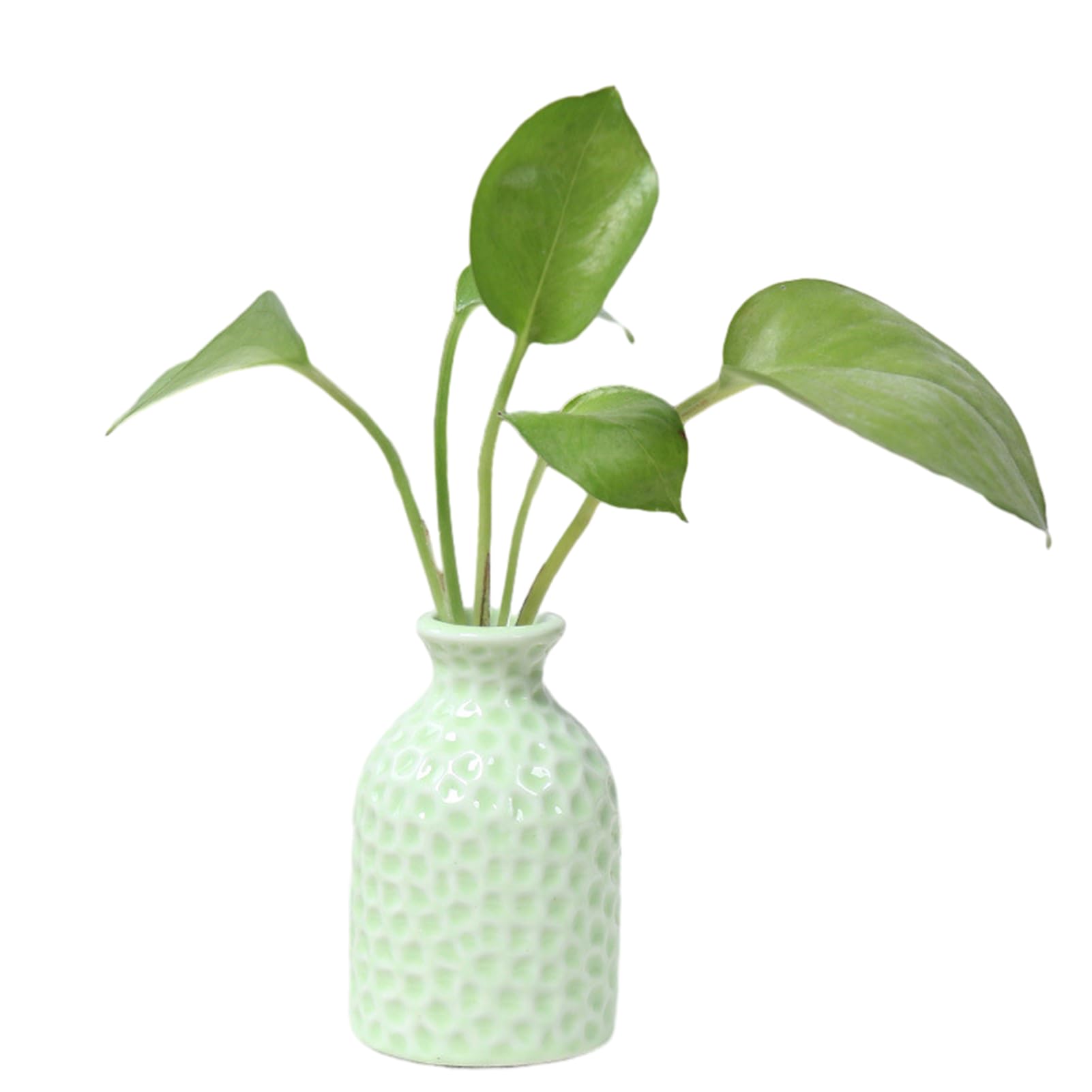 VALINK Pequeños jarrones de cerámica para flores, jarrón decorativo, mini jarrón de cerámica de escritorio, jarrón de cerámica floral, decoración para el hogar, dormitorio, verde
