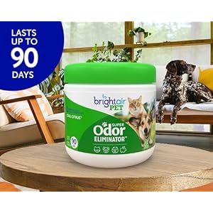 Bright Air Solid Pet Odor Eliminator Cool Citrus Scent 14 Oz Each 6 Pack  Cucciolini Doodles Bright air solid pet odor eliminator cool citrus scent 14 oz each 6 pack   cucciolini doodles