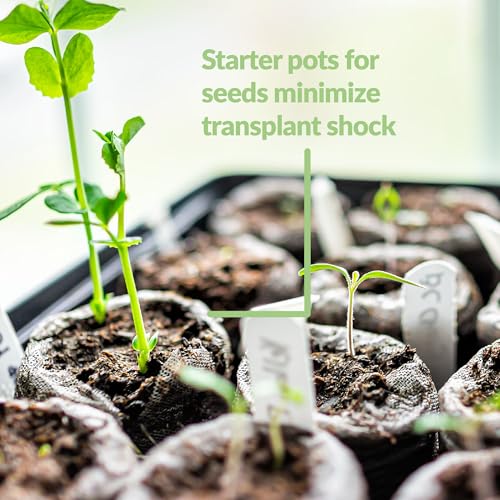 Image of Jiffy Peat Soil Pellets Seed Starter Plugs - Indoor Seedling Planter - 1000 Count - Peat