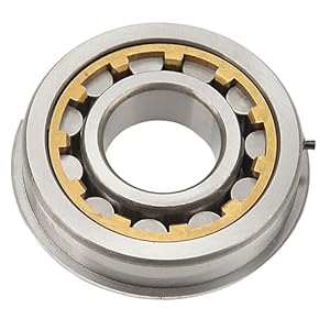 51yguqdkg5l. sl500 . ss300