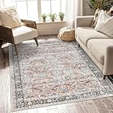 Anidaroel Washable Pink Rug for Living Room, 5X7 Boho Area Rugs Non-Slip Soft Rug for Bedroom Room Family & Pet Friendly Aesthetic Dining Room Table Mat Indoor Carpet for Apartment Office