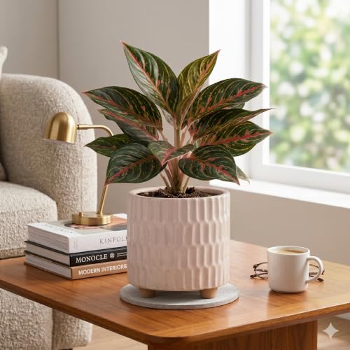 Image of Ceramic Pot for Indoor Plants - White (5 inches) | Has built-in stand so that water never clogs