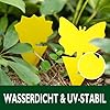 Garsum Fruit Fly Trap 18 Pcs Yellow Sticky Fungus Gnat Killer for Indoor and Outdoor Plant Insect Catcher for White Flies,Mosquitos,Fungus Gnats,Flying Insects #3