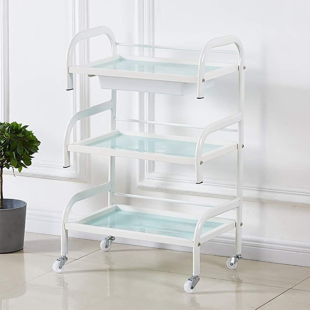 SSDDLZEQ Mobile Salon Station, Salon Rolling Cart Metal Salon Cart 3-layer Storage Utility Cart With Casters Salon Trolley Cart For Beauty Spa Salon Cart(Light green)