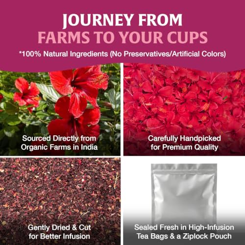 Image of HANDPICK Organic Hibiscus Tea (40 Tea Bags) Pure Indian Hibiscus Flowers