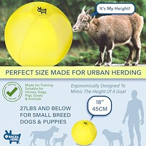 Race&Herd Herding Ball for Dogs Small & Puppies, 18″ Complete Set Dog Ball, Balls for Dogs | Dog Toys, Hearding Ball, Herding Balls for Cattle Dogs, Herding Ball for Australian Shepherd
