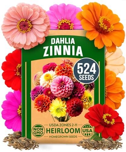 HOME GROWN 𝗨𝗦𝗔 𝗣𝗥𝗘𝗠𝗜𝗨𝗠 Zinnia Dahlia Seeds Pack for 2026