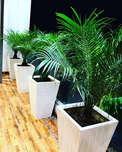 S E Fibereum Standard White Colour Frp Flower Pot 24 X 14 Inches. Home Decoration Flower Pot, Outdoor And Indoor, Balcony Gardening, Pots With Optional Drainage Hole (Free Pebbles) Super