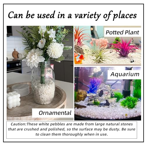 Image of 18lb 1 /4 inch Small White Rocks for Plants,Potting,Succulents Aquarium Fish Tank Garden Vases Decorative Pebbles Gravel Rocks Stones