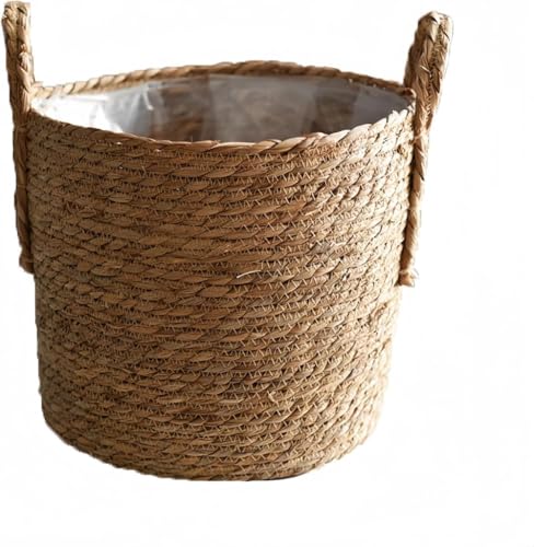 OrnategoR̊C҂݂ꂽAؔBhHŊAϗtA⑽AɍœKBCeAƂĂfi`ȕŁA[oXPbg②蕨ƂĂg܂B (TCY)