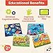 B. toys- Peek & Explore 4-Pack: Bus, Sea, Space, Dino- Chunky Puzzle 4-Pack – Wooden Puzzles – Sea, Space, Bus, Dinos – 8 Pieces Each – 2 Years +