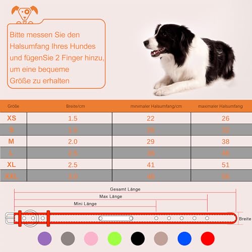 Reflektierend Halsband für Hunde aus Leder Personalisierte Hundehalsband mit Namen Gravur Hellbraun Halsband mit Namenschild für den kleinen Hund, Hundehalsbänder S