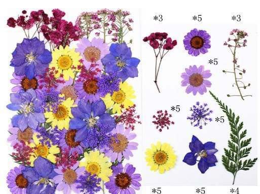 Dried Pressed Real Flowers Colorful Natural Dried Flowers Daisies for Candles Handmade Art & Crafts Epoxy DIY Resin Pendant Jewellery Gifts Accessories Nail Art - Multi Color