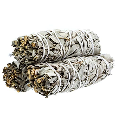 image for Premium Organic White Sage Smudge Sticks from Big Lost Goods (4-5