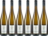 WEINART: Weißwein Trocken, Jahrgang 2020 im 6er Paket
