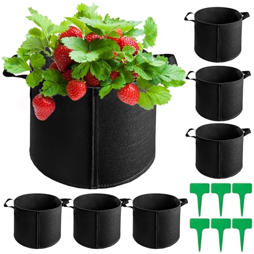 Cinsersr Macetas de tela, Jardineras, 6 unidades, 12 l, macetas de tela, 3 galones, bolsas de 12 l para balcón, jardín e invernadero (6 etiquetas para plantas)