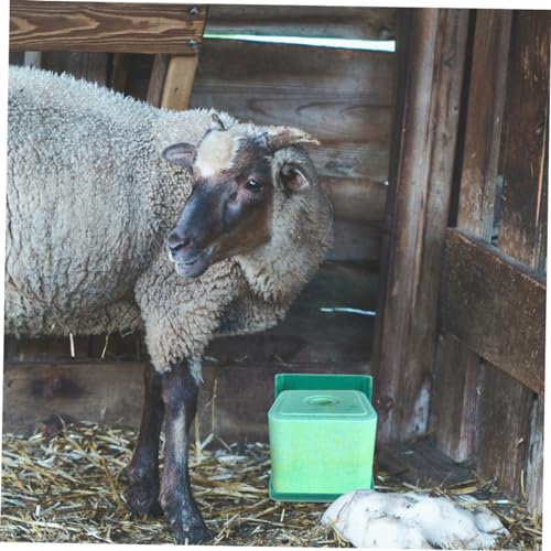 Support blocs de sel moutons chevaux | 2 mangeoires bétail fixes PP