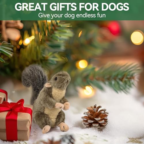 All for Paws 4001 Classic - Squirrel Small - Hundespielzeug kleines Eichhörnchen
