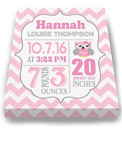 Personalized Stretched Canvas Birth Announcement Gift, Custom Baby Name, Date, Weight Stats, Newborn Nursery Owl Wall Art Decor, Wooden Frame Construction, Ready to Hang 20X24