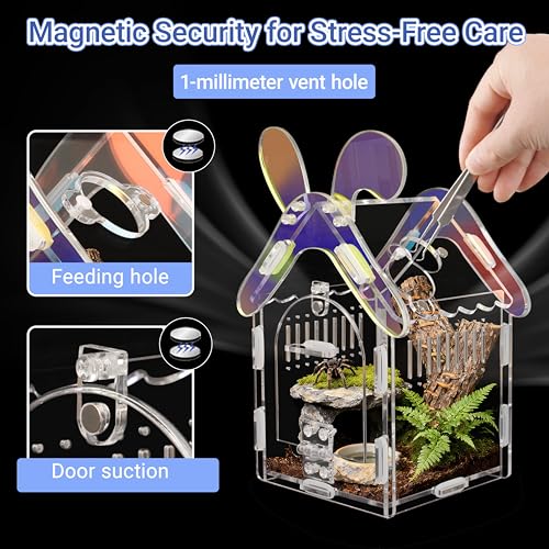 Image of Acrylic Jumping Spider Enclosure with Magnetic Lock, 3mm Clear Terrarium for Tarantula, Mantis, Scorpion | Escape-Proof, No Tool Assembly
