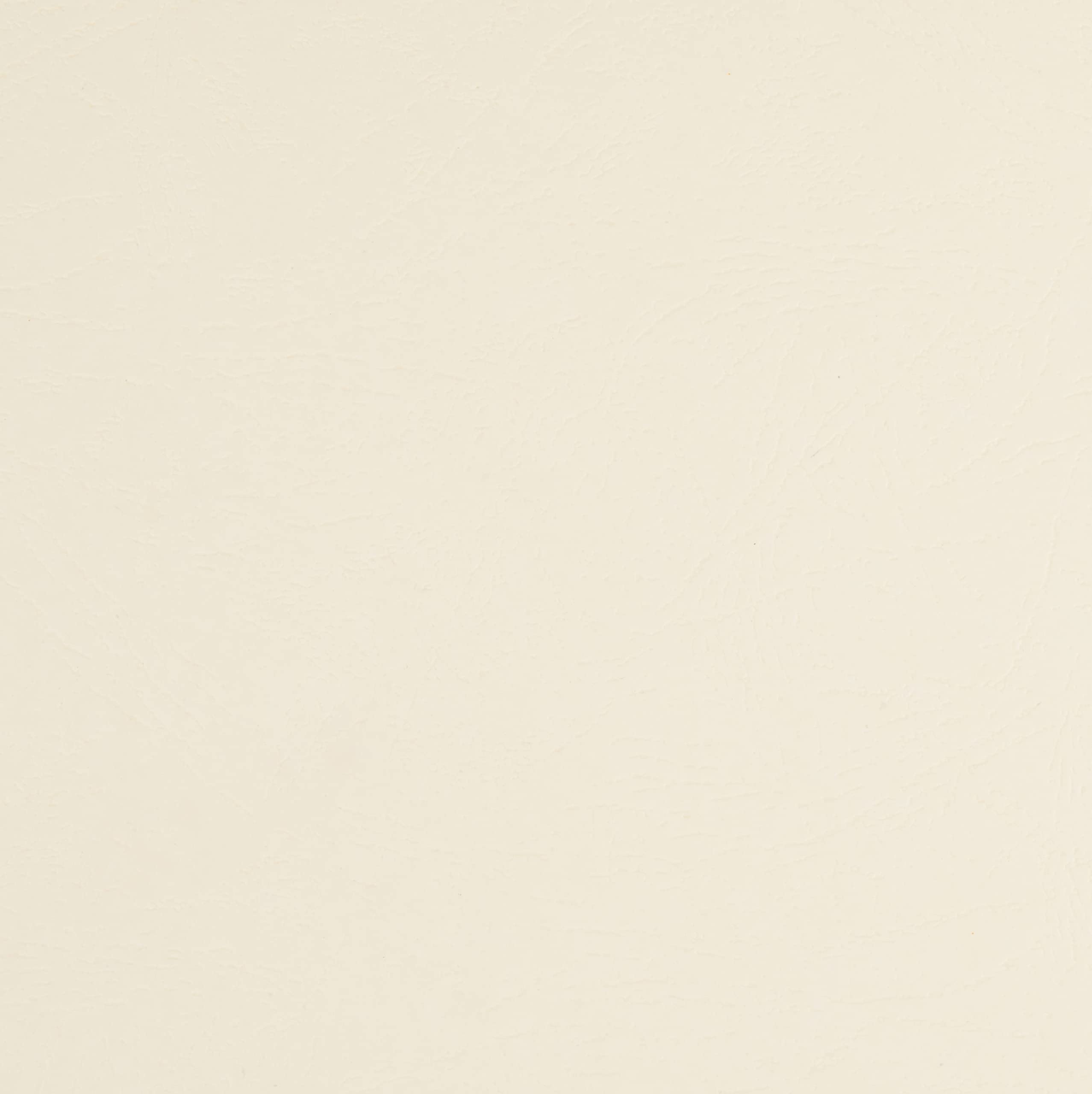 GBC Ibicover Lot de 100 couvertures de reliure 63 Series 230 g/m² A4 Crème