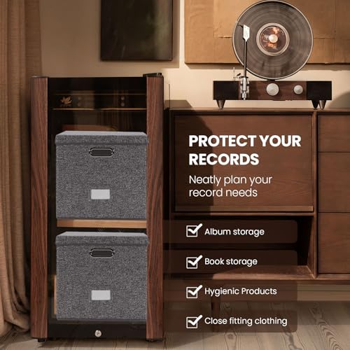 image for ZEDKEHO Sturdy Vinyl Record Storage Box - Album Storage Holds up 50+ S