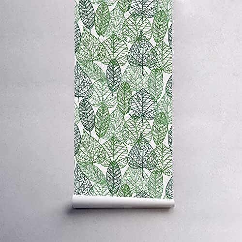 Papier Peint Latex Feuilles pour une Ambiance Nature dans la Chambre - 5