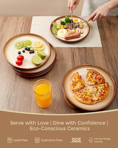 Image of Pokini Ceramic Dinner Plates Set of 6, 10inch Salad, Dessert Plates Dishes