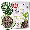 N’Bioo Indoor Green Plant Fertilizer, Groentetuin, Bloempot en Binnentuin, Universele Organische Meststof, 100…