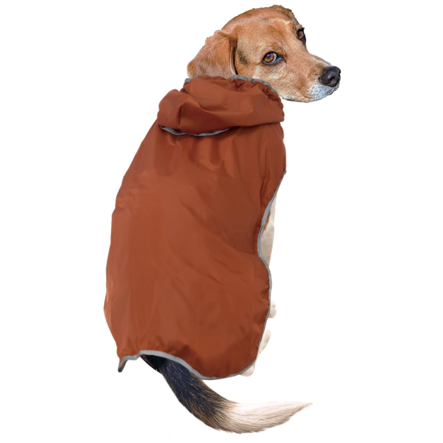 Amazon.co.jp: ドギーマン Chiccha！ パパッと着られる ポケット寒さ風