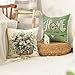 AVOIN colorlife Bless Our Home Farmhouse Eucalyptus Leaves Throw Pillow Covers, 18 x 18 Inch Truck Home Sweet Cushion Case Decorations Set of 4