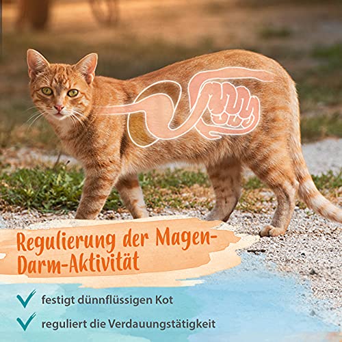 Ida Plus – Heilmoor + Bierhefe - Verbessert Kotbeschaffenheit– Darmflora Plus - optimale Verdauung bei Hund & Katze – wertvolle B-Vitamine –– mit natürlichem Torf aus dem Hochmoor - 1000 g oder 200 g