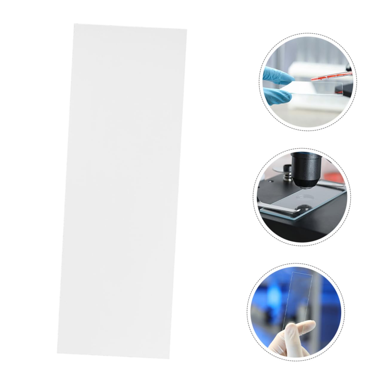 OUNONA 50pcs Microscope Slide Microscope Accessories Education Props Object Slides Laboratory Supplies Biology Class Props Laboratory Slides Glass