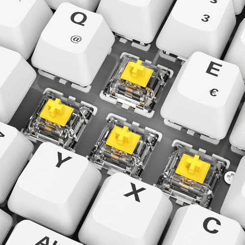 SHARKOON SKILLER SGK50 S2 PBT wei?, DE-Layout, Gateron G Pro 3.0 Yellow - Tastiera gaming - Immagine 2