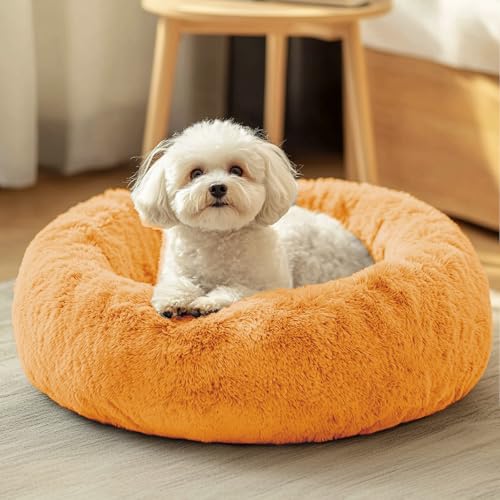 Image of JOLLYVOGUE Dog & Cat Bed, Calming Anti-Anxiety Pet Bed for Small Dogs, Fluffy Donut Cushion for Small and Medium Pets (23 inch)