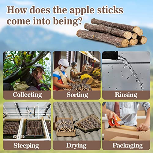 Sukh Natural Organic Apple Sticks - 250g Hamster Chew Stick Hams Rabbit Bunny Gerbil Guinea Pig Squirrel Chinchilla Small Animal Chew Sticks - Image 5