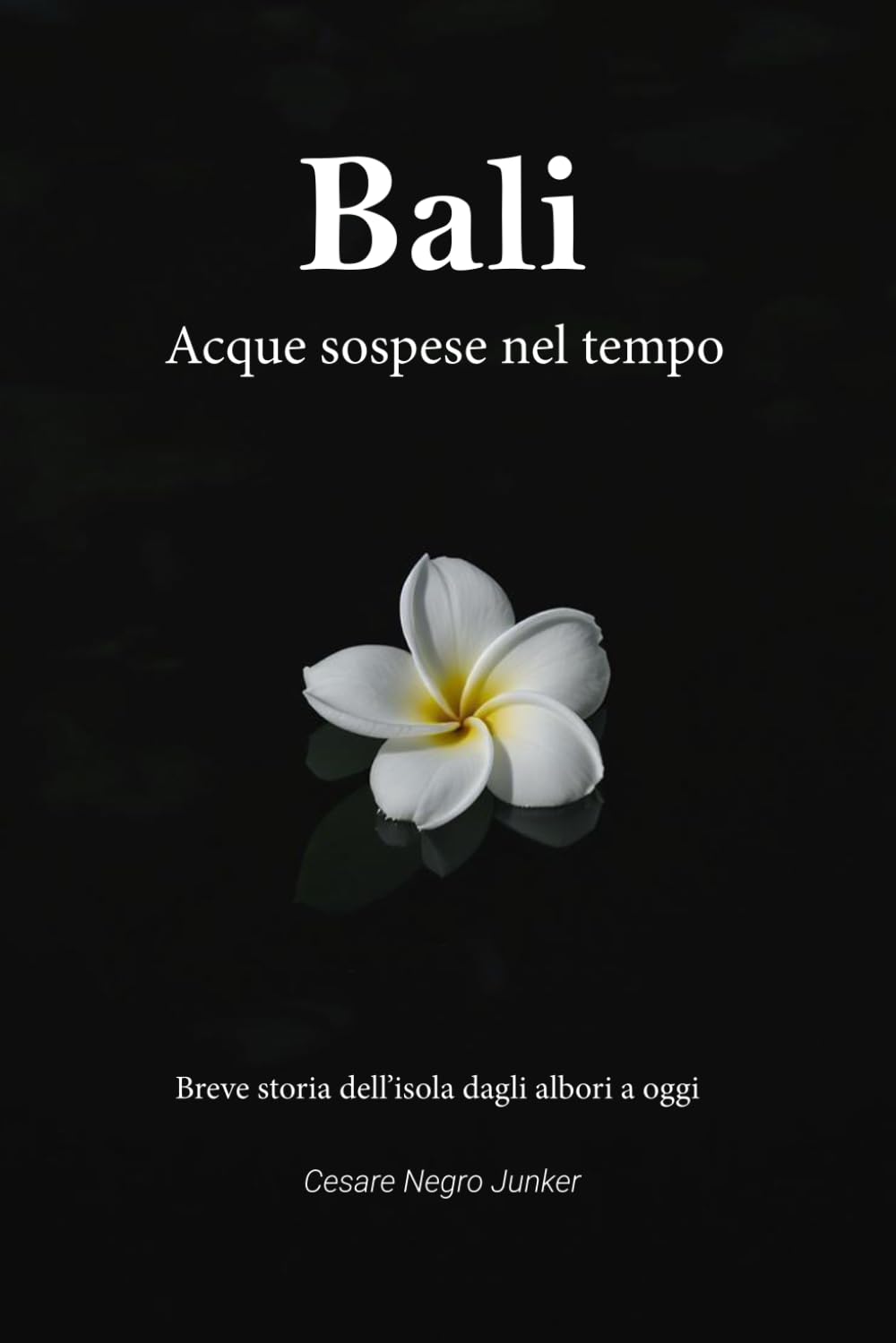 Bali - Acque Sospese: Storia di Bali dagli inizi ad oggi