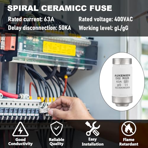 AUKENIEN Neozed Fuse 63A D02 E18 Spiral Ceramic Fuses 400VAC NEOZED fuse Insert 63 Amp 400V gL/gG for Cable and Line Protection(5Pieces) - Image 4