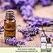 Sky Organics Organic Lavender Essential Oil, 100% Pure and Cold Pressed USDA Certified Organic for Aromatherapy & DIY, 1 Fl Oz.