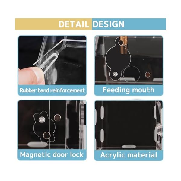 Jumping-Spider-Enclosure-Acrylic-Terrarium-Tarantula-Enclosure-with-Front-Opening-Door-59-47-61-Inches-Micro-Habitat-Terrarium-for-Tarantulas-Reptiles-Insects Jumping-Spider-Enclosure-Acrylic-Terrarium-Tarantula-Enclosure-with-Front-Opening-Door-59-47-61-Inches-Micro-Habitat-Terrarium-for-Tarantulas-Reptiles-Insects