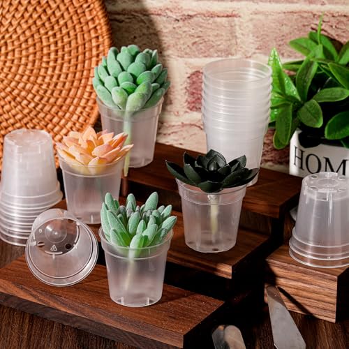Yaomiao 80 Pcs 3 Inch Clear Mini Plastic Plant Pot Nursery Seedling Pots Seed Starter with Drainage Holes for Indoor Outdoor Garden Succulent Plants Cuttings Transplanting - Image 7