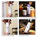 Nano Facial Mister, UrChoice Cool Mist Facial Steamer Handy Mist Sprayer with Mirror Design on Top, Moisturizing and Hydrating for Skin Care, Makeup, Eyelash Extensions