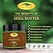 African Shea Butter Raw Organic Unrefined - Healing Body Butter for Face & Body - Deep Conditioner for Dry Skin, Hair Care, Stretch Marks, Eczema/Psoriasis Treatment, Lip and Beard Balm, Soap (16 oz)
