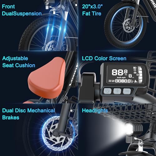 LoonFat T20 2-Seat Ebike